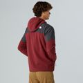 Men's sweatshirt The North Face Glacier Heavyweight Full Zip HD sumac/asphalt grey 3