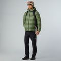 Men's jacket The North Face Terra Peak Hoodie bark mist 2