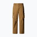 Men's ski trousers The North Face Blizzardery Cargo utility brown