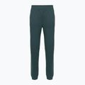 Women's trousers The North Face Mountain Athletics Fleece deep cypress/space