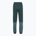 Women's trousers The North Face Mountain Athletics Fleece deep cypress/space 2