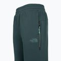 Women's trousers The North Face Mountain Athletics Fleece deep cypress/space 3