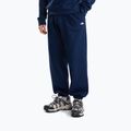 Men's sweatshirt The North Face Evolution Simple Dome Regular Hoodie summit navy