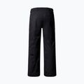 Men's ski trousers The North Face Chakal black/black 2