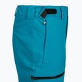 Men's ski trousers The North Face Chakal Regular dusk blue 3