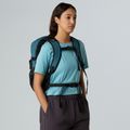 Urban backpack The North Face Borealis Classic 29 l space/black 8