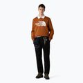 Men's sweatshirt The North Face Easy Crew burnt umber 2
