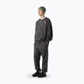 Men's trousers The North Face Expedition Celebration Relaxed Jogger Reg anthracite grey 2