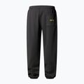 Men's trousers The North Face Expedition Celebration Relaxed Jogger Reg anthracite grey 5