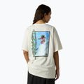 Men's T-shirt The North Face NSE Slopes Relaxed Tee Graphic white dune 3
