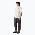 Men's T-shirt The North Face Flower Dome Relaxed Graphic white dune 2