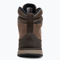 Men's shoes The North Face Back To Berkeley IV Leather WP demitasse brown/garnet 6