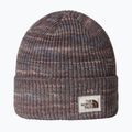 Winter hat The North Face Salty Bae Lined tawny quartz