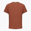 Men's thermal active T-shirt Smartwool Merino Sport 120 burnt sienna