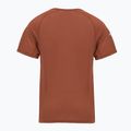 Men's thermal T-shirt Smartwool Merino Sport 120 burnt sienna 2