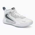 Volleyball shoes Nike Hyperset 2 SE smmit white/metalic silver/pure platinum