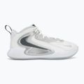 Volleyball shoes Nike Hyperset 2 SE smmit white/metalic silver/pure platinum 2