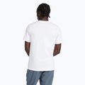 Men's New Balance Graphic V Flying T-shirt white 2