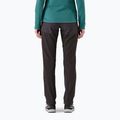 Patagonia women's Terravia Alpine Pants black w/ink black 3