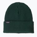 Winter hat Patagonia Fishermans Rolled Beanie cascade green