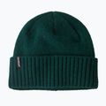 Patagonia Brodeo Beanie winter beanie cascade green