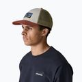 Patagonia P-6 Logo LoPro Trucker birch white baseball cap 2