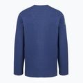 Men's sweatshirt Patagonia Lightweight Unity Fitz Wildrise Crew clement blue 2