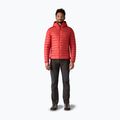 Men's down jacket Patagonia Down Sweater Hoody amanita red 2