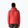 Men's down jacket Patagonia Down Sweater Hoody amanita red 3