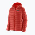 Men's down jacket Patagonia Down Sweater Hoody amanita red 5