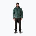 Men's down jacket Patagonia Down Sweater Hoody cascade green 2