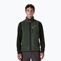 Men's gilet Patagonia Retro Pile Fleece old growth green