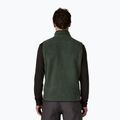 Men's gilet Patagonia Retro Pile Fleece old growth green 2