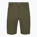 Men's trekking shorts Patagonia Quandary basin green