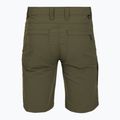 Men's trekking shorts Patagonia Quandary basin green 2