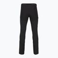 Men's trekking trousers Patagonia Terravia Alpine black 2