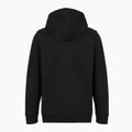 Men's sweatshirt Patagonia '95 Oval Logo Uprisal Hoody Black: Kaleido 2