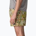 Men's shorts Patagonia Baggies 5" shelly shelly/mellow melon 5
