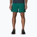Men's shorts Patagonia Baggies 5" 95 oval logo/gem green