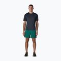 Men's shorts Patagonia Baggies 5" 95 oval logo/gem green 2