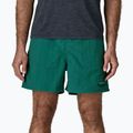 Men's shorts Patagonia Baggies 5" 95 oval logo/gem green 4