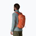 Hiking backpack Patagonia Terravia Pack 14 l coal orange 3