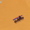 Men's T-shirt Patagonia '73 Skyline T-Shirt dried mango 3