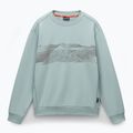 Men's sweatshirt Napapijri B-Vanni C green mil G1X 4