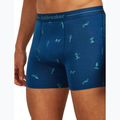 Men's thermal boxer briefs icebreaker Anatomica Snow Day atlantis/topaz/aop 6