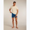 Men's thermal boxer briefs icebreaker Anatomica Snow Day atlantis/topaz/aop 7