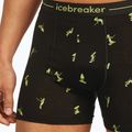 Men's thermal boxer briefs icebreaker Anatomica Snow Day black/peridot/aop 5