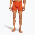 Men's thermal boxer shorts icebreaker Anatomica fervid 2