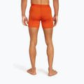 Men's thermal boxer shorts icebreaker Anatomica fervid 4