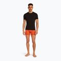 Men's thermal boxer shorts icebreaker Anatomica fervid 6